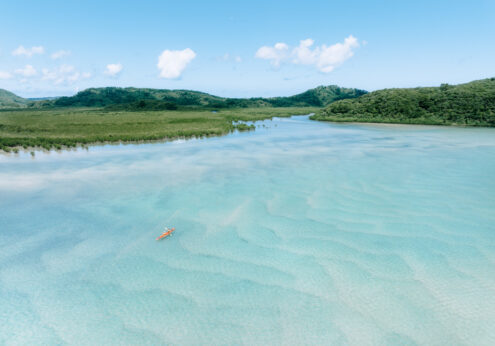 Japanese mangrove coastline, Japan off-the-beaten-path drone photography by Ippei and Janine