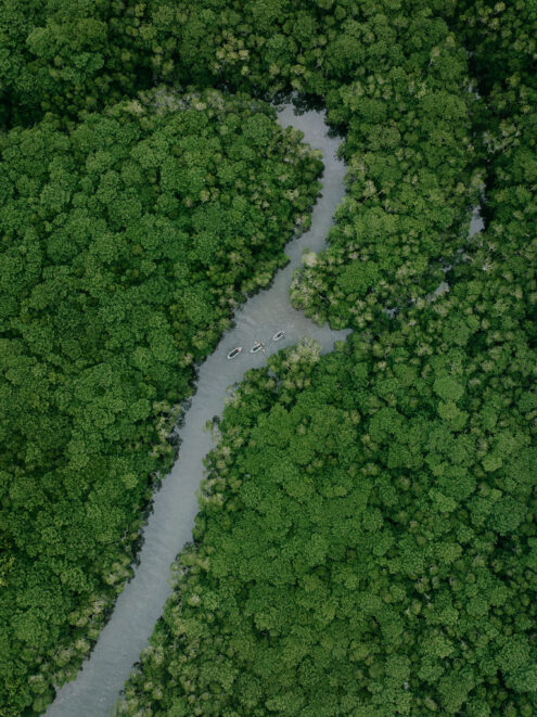 Ishigaki Island mangrove river, Japan off-the-beaten-path drone photography by Ippei and Janine