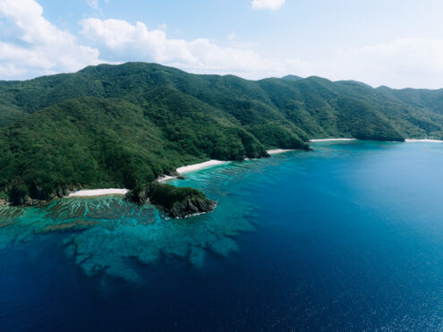 Aerial view of lush green tropical island with deserted beaches and coral reef, Kakeroma Island, Amami Islands, Japan