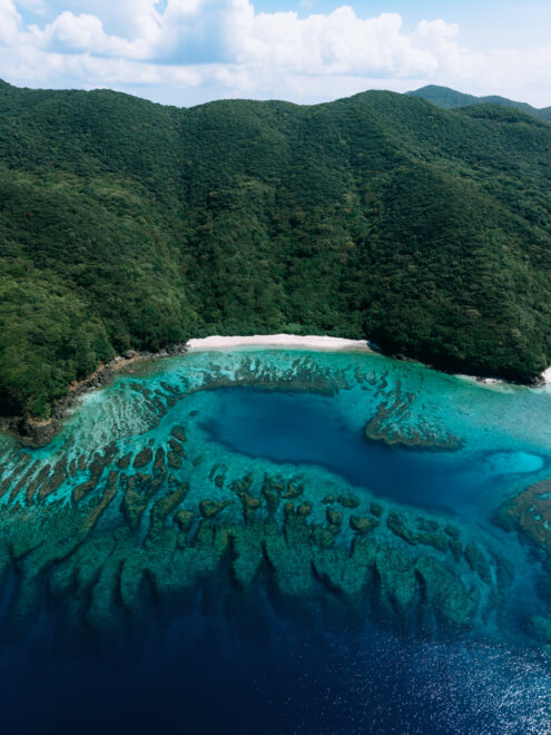 Aerial view of coral reef, tropical beach and lush green mountain, Kakeroma Island, Amami Islands, Japan