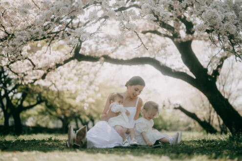 Tokyo family portrait photoshoot with sakura cherry blossoms - Ippei and Janine Photography