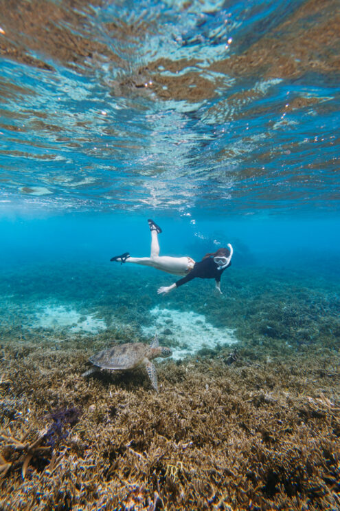 Snorkeling with sea turtle - Japan outdoor adventure photography by Ippei and Janine