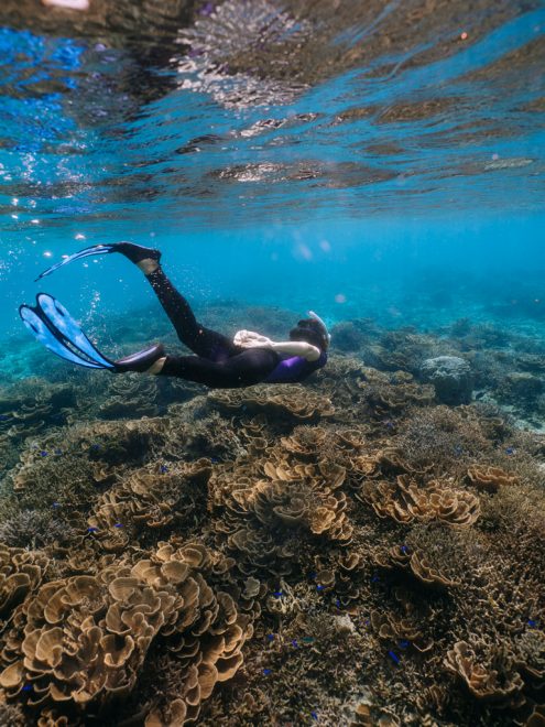 Snorkeling over lush coral - Japan outdoor adventure photography