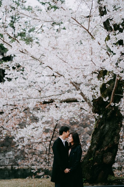 Tokyo pre-wedding photography with sakura cherry blossoms - Japan portrait photographer Ippei and Janine