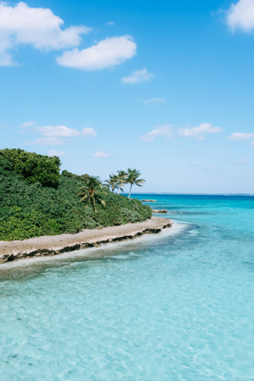 Coconut palms with turquoise water - Tropical Japan landscape photography by Ippei and Janine