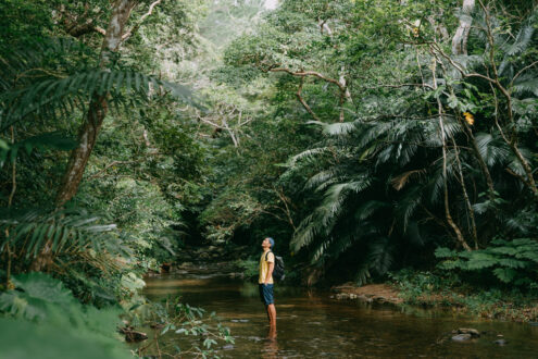 Okinawa jungle stream hike - Japan outdoor adventure photography by Ippei and Janine