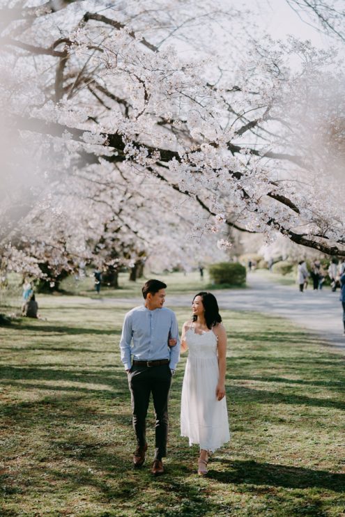 Tokyo pre-wedding photography with cherry blossoms - Ippei and Janine Photography