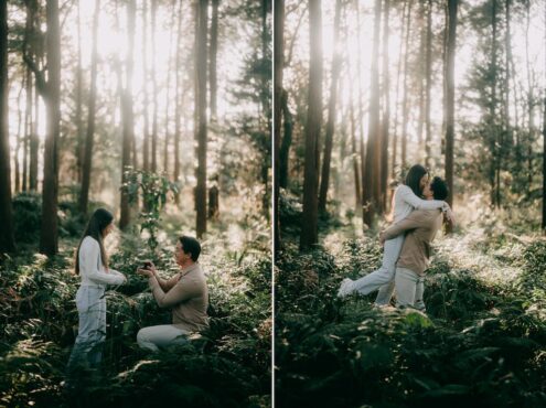 Tokyo proposal nature photoshoot in winter - Ippei and Janine Photography