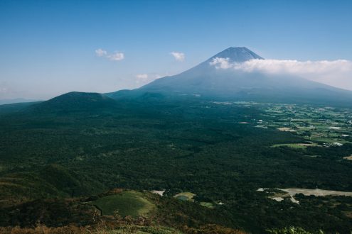 Aokigahara & Mt Fuji, Japan landscape photography by Ippei and Janine