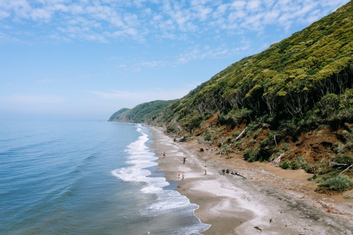 Wild beach on Tokyo Bay, Chiba