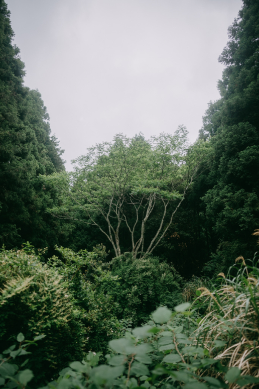 Masuma Seven Waterfalls hiking trail, Chiba, Japan