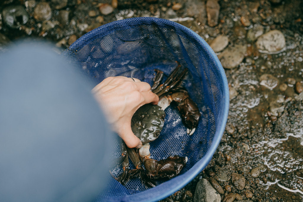 Freshwater crab catching, Tokyo outdoor day trip
