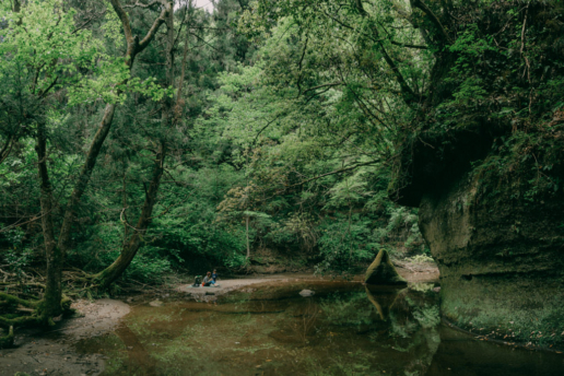 Hiking day trip from Tokyo, Takago Ravine, Chiba