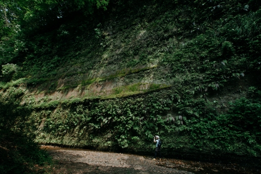 Hiking day trip from Tokyo, Umegase Keikoku Gorge, Chiba