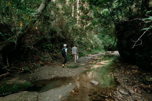 Hiking day trip from Tokyo, Umegase Keikoku Gorge, Chiba