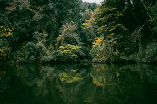 Day trip from Tokyo, Lake Kameyama-ko, Chiba