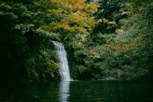 Day trip from Tokyo, Lake Kameyama-ko, Chiba