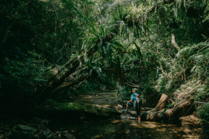 Jungle stream hiking, Amami Oshima Island, Japan