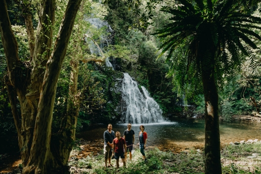 Waterfall in jungle of Amami Oshima Island, Japan