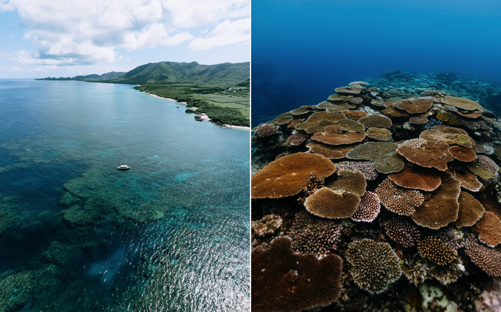 Snorkeling tour by boat on Ishigaki Island, Okinawa, Japan