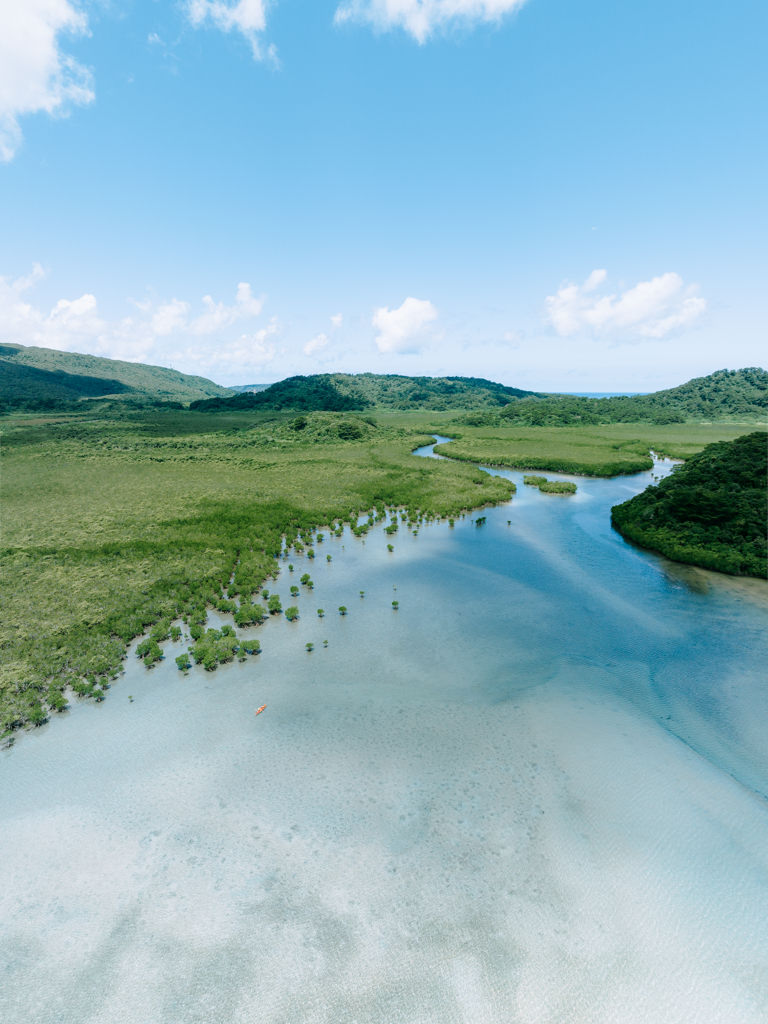 Iriomote Island mangrove coastine, Okinawa, Japan