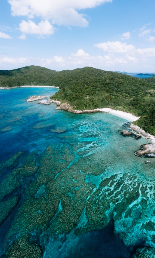 Coral reef of Tropical Japan, Aka Island