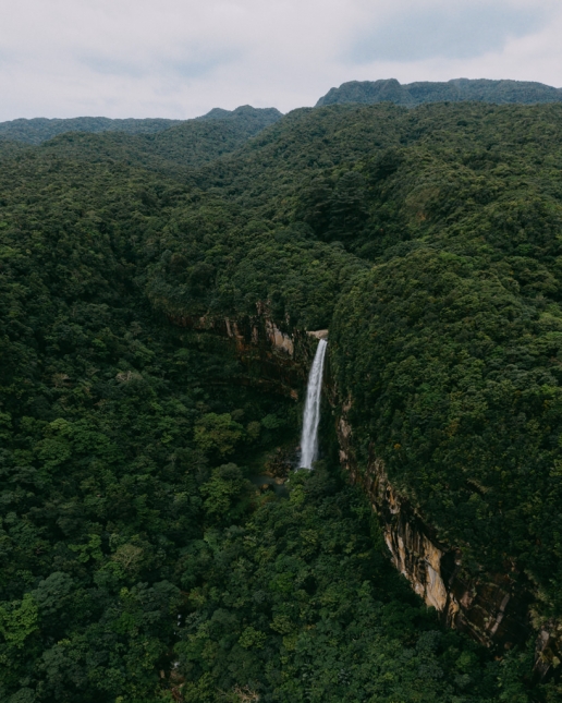 Japanese jungle waterfall on Iriomote, Pinaisara Falls, Okinawa