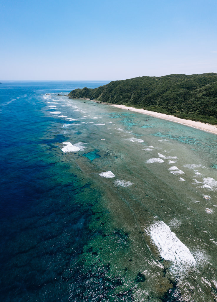 Coral reef of Amami Oshima Island, Kagoshima, Japan