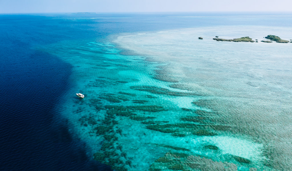 Tropical Japan's coral reef, Iriomote-jima, Yaeyama Islands, Okinawa