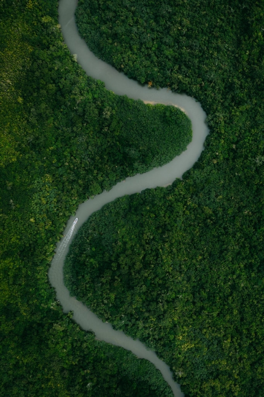Winding mangrove river of Iriomote Island, Okinawa, Japan