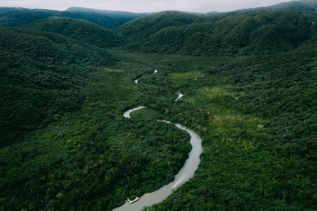 Aerial view of Japan's largest mangrove swamp, Iriomote Island, Okinawa