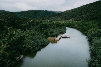 Japanese jungle river, Iriomote Island, Okinawa