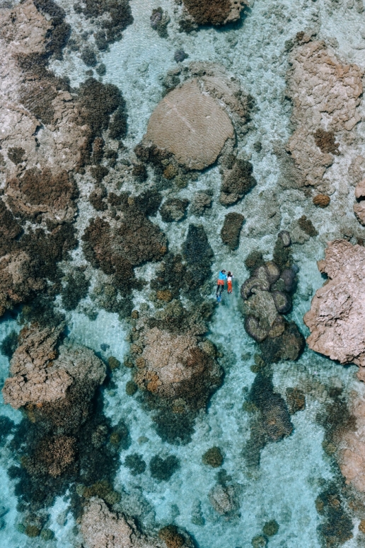 Snorkeling in coral lagoon, Kikaijima, Amami Islands, Kagoshima, Japan