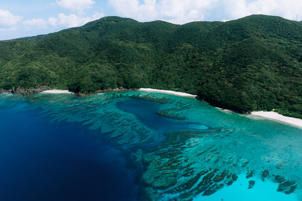 Aerial view of deserted tropical beach with coral reef, Kakeroma Island, Amami Islands, Japan