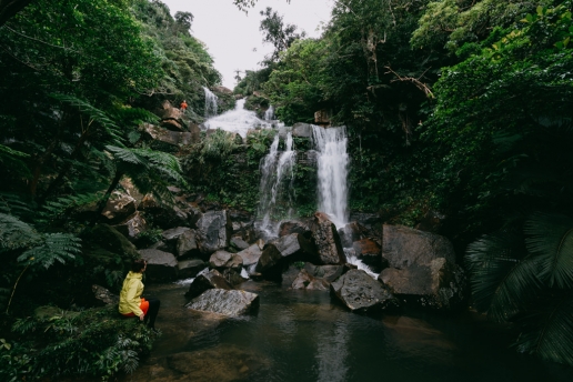 Japanese jungle waterfalls, Iriomote Island, Okinawa