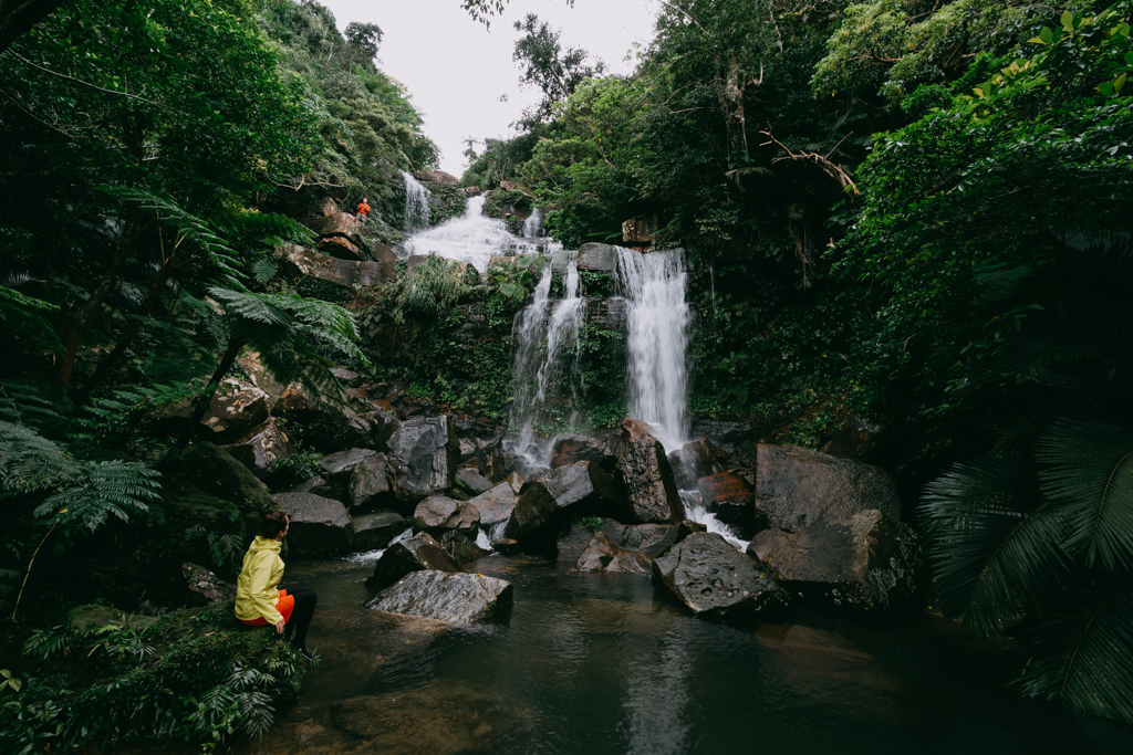 Japanese jungle with waterfalls, Iriomote Island, Okinawa