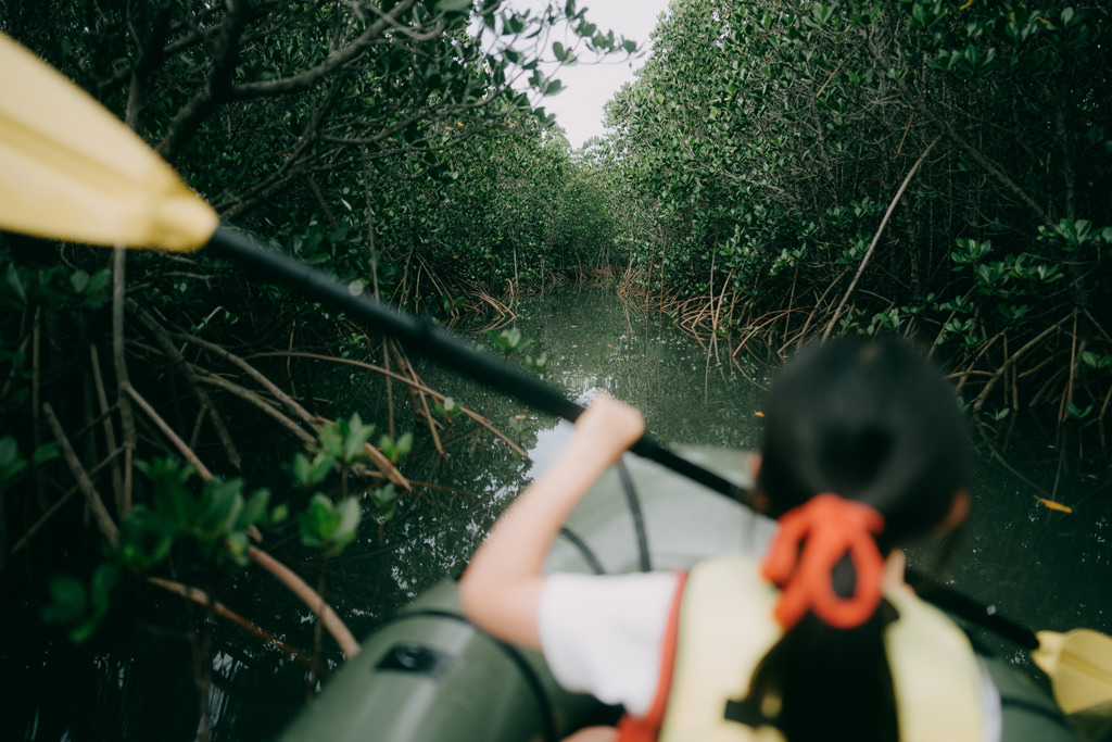 Mangrove kayaking, Kohama Island of Yaeyama Islands, Okinawa, Japan