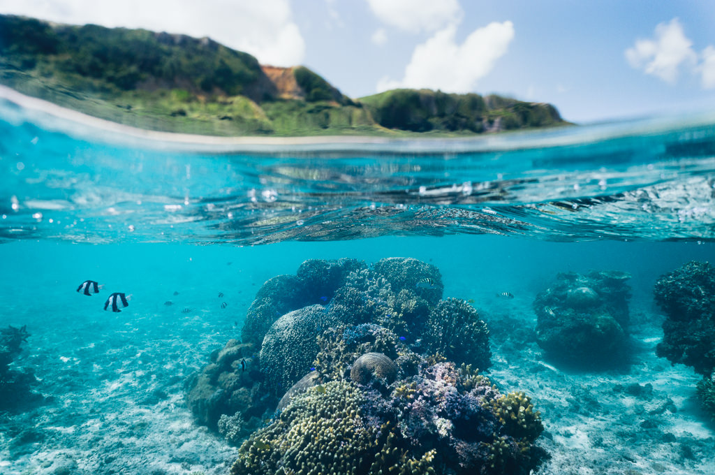 Coral lagoon snorkeling in clear tropical water of southern Japan, Miyakojima Island, Okinawa