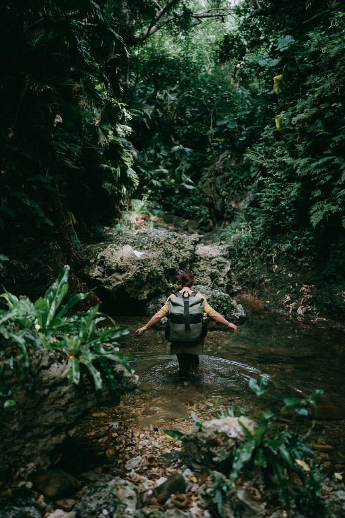 Stream trekking in jungle of Yonaguni Island, Okinawa, Japan
