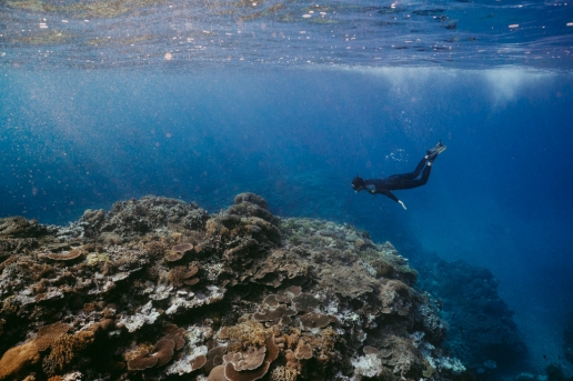 Iriomote coral reef snorkeling in winter, Okinawa, Japan