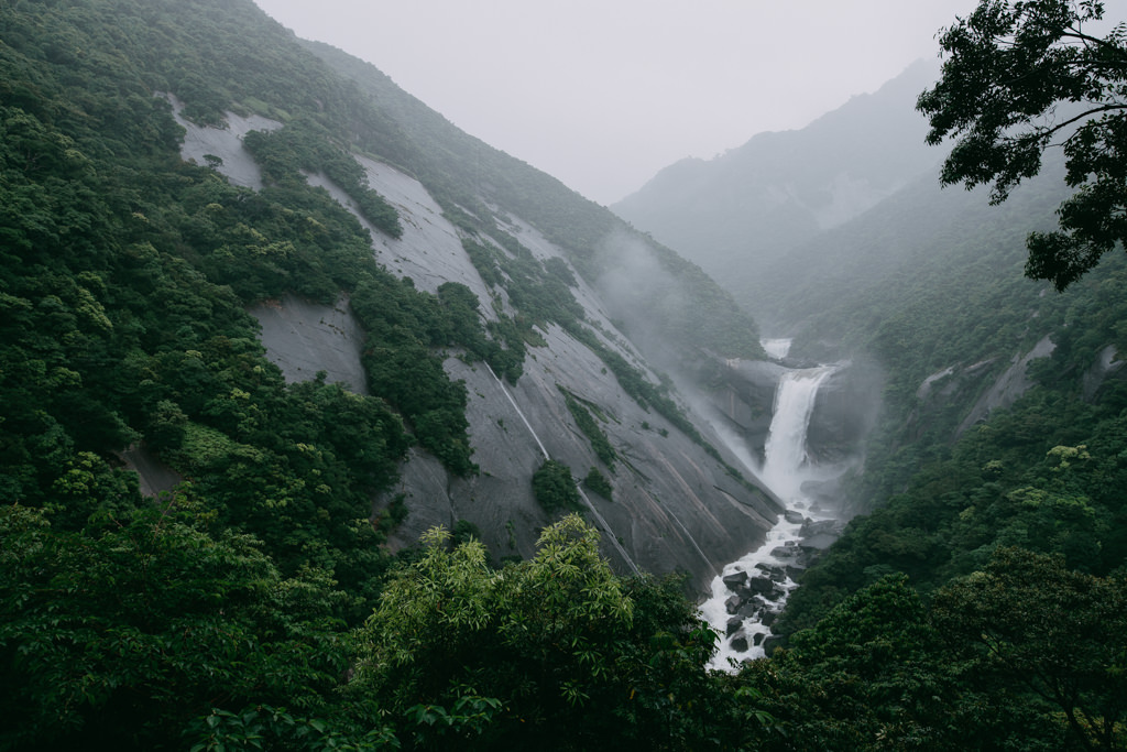 Rainforest waterfall, Yakushima, Kagoshima, Japan