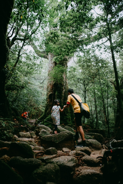 Shiratani Unsui Gorge hiking, Yakushima, Japan