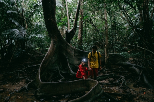 Iriomote jungle family hiking, Okinawa, Japan