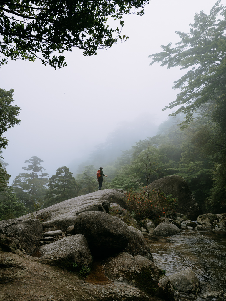 Yakushima hiking in mist, Japan