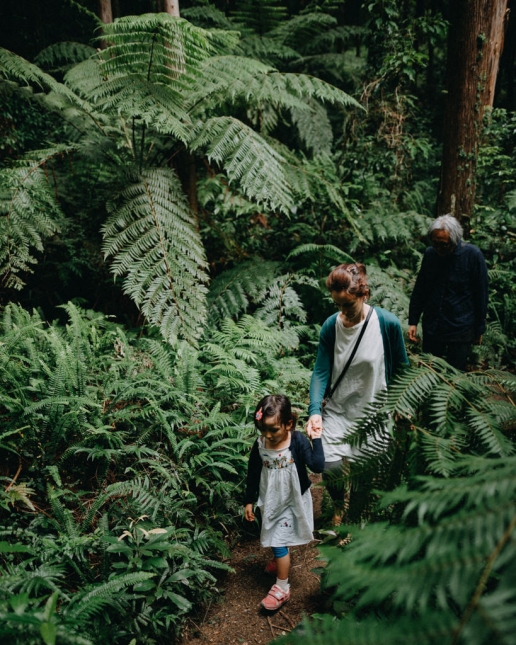 Hiking in Yakushima's rainforest, Japan