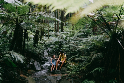 Rainforest hike on Tanegashima Island, Kagoshima, Japan