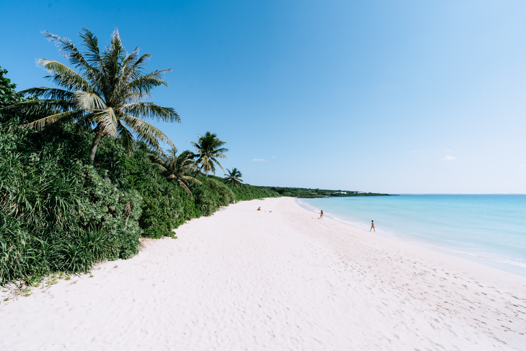 Tropical beach with coconut palm trees, Miyako Islands, Okinawa, Japan