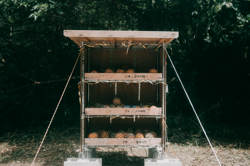 Unmanned roadside pineapple shop in Japan, Ishigaki Island, Okinawa