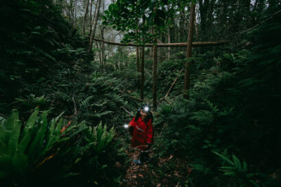 Jungle hike inside the crater of Aogashima Island, Tokyo, Japan