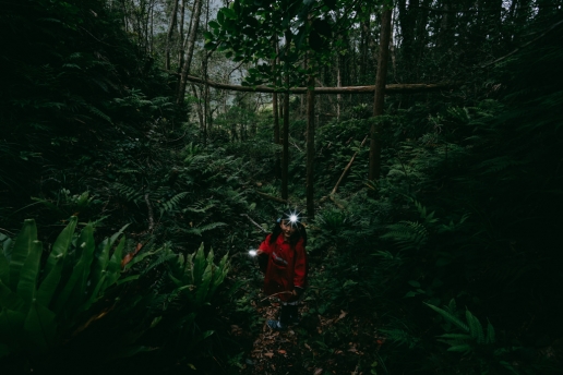 Jungle hike inside the crater of Aogashima Island, Tokyo, Japan